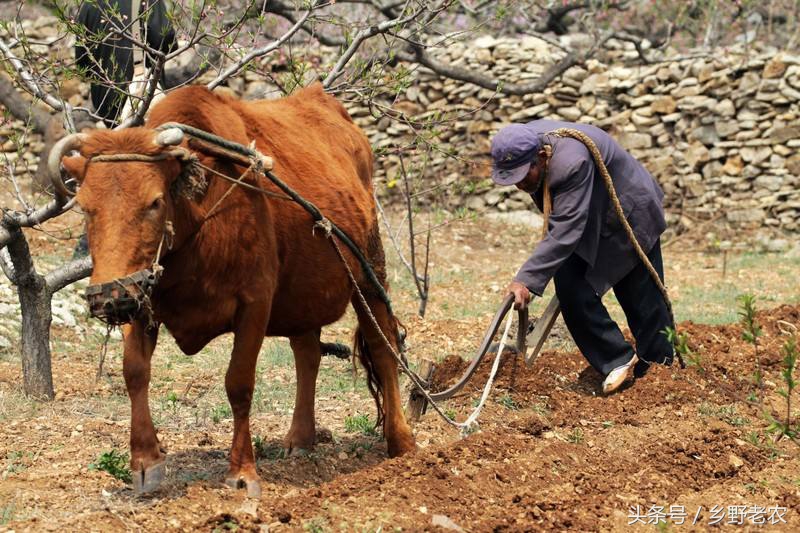 一九二九不出手三九四九冰上走五九六九 一九二九不出手三九四九冰上走五九六九