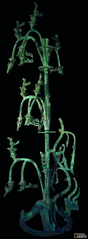 上古神树若木的花(上古神树小说) 上古神树若木的花(上古神树小说)