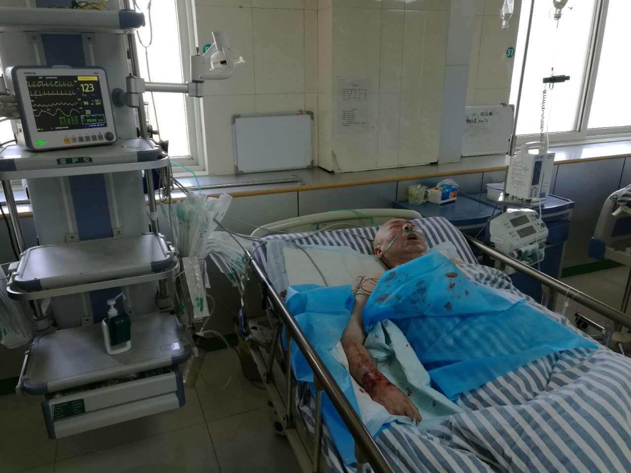 上海岳阳医院在什么地方(北京精品獒园) 上海岳阳医院在什么地方(北京精品獒园)