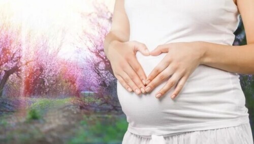 上海计划生育科(上海市计划生育) 上海计划生育科(上海市计划生育)