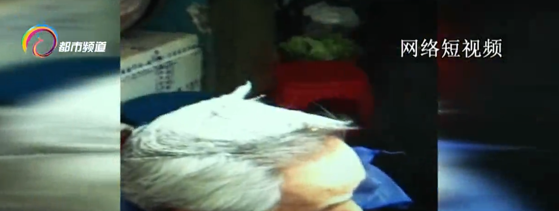 一洗黑怎么用(一洗黑什么牌子最安全) 一洗黑怎么用(一洗黑什么牌子最安全)