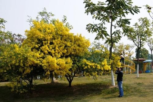 万芳得精油(万芳得精油怎么样) 万芳得精油(万芳得精油怎么样)