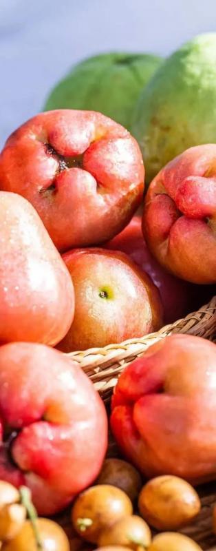 三亚旅游必备物品清单(最全旅游必备物品清单) 三亚旅游必备物品清单(最全旅游必备物品清单)