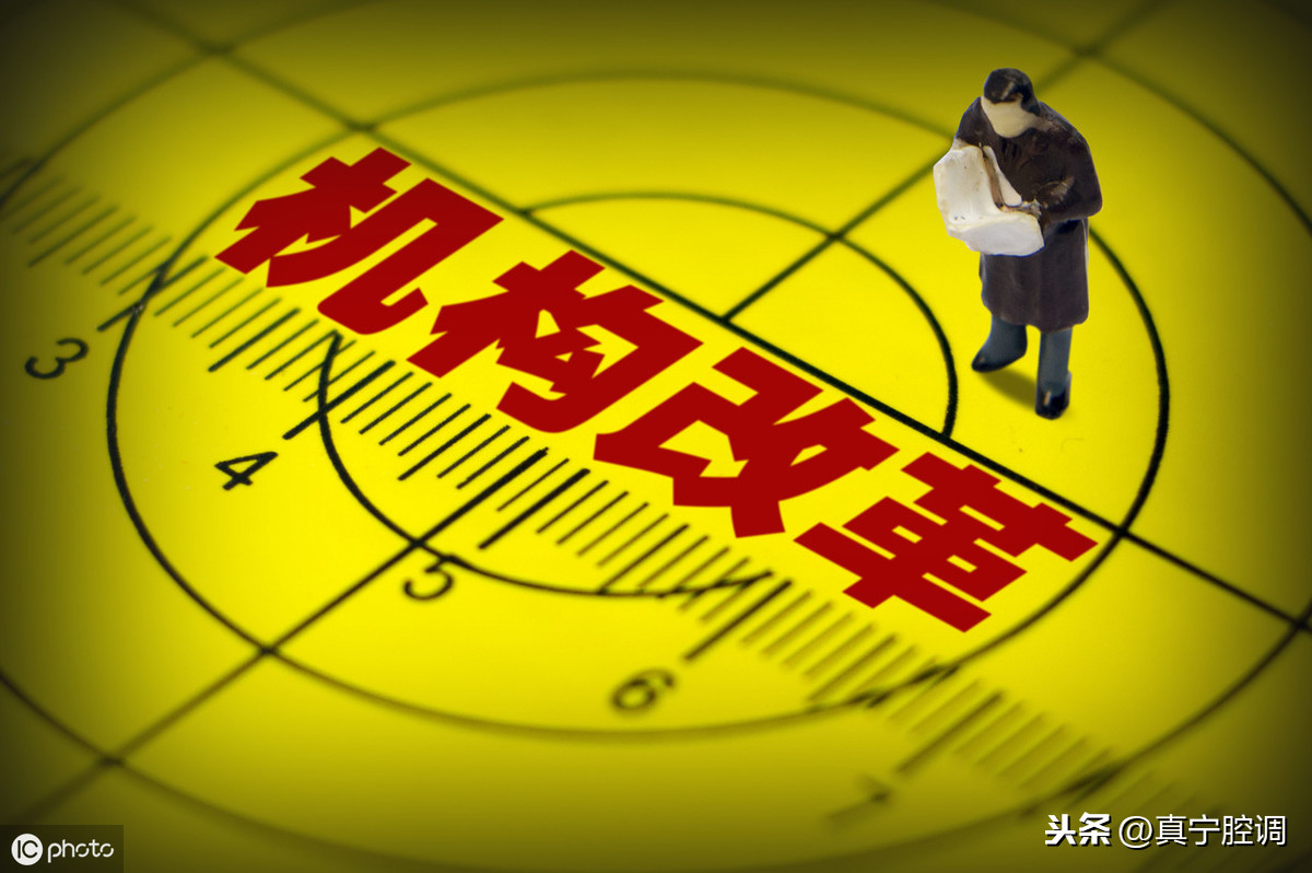 三定原则实施(三定原则是定岗位定职责) 三定原则实施(三定原则是定岗位定职责)