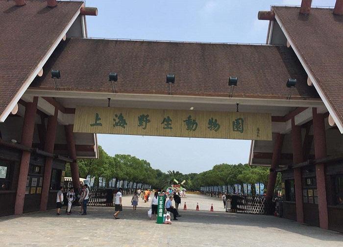 上海周边自驾攻略(上海自驾游路线推荐) 上海周边自驾攻略(上海自驾游路线推荐)