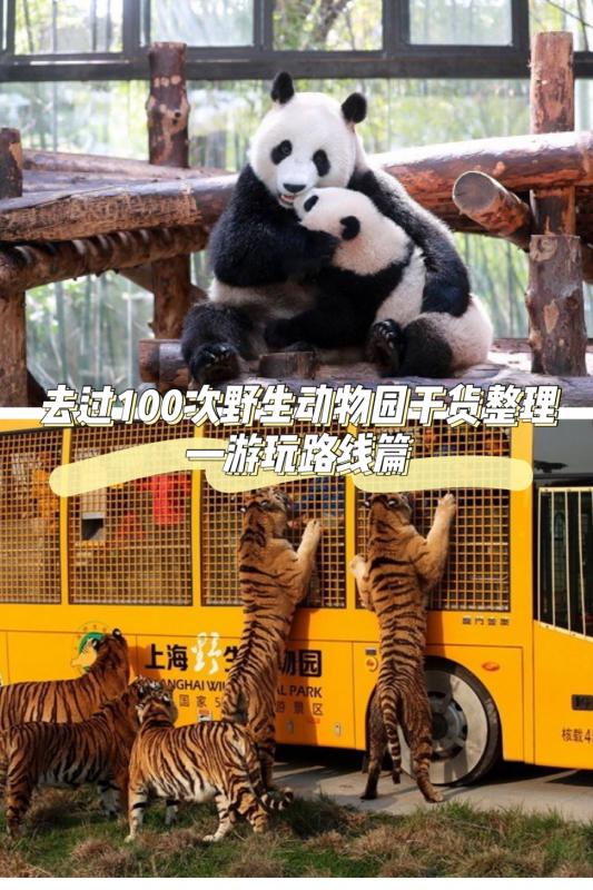 上海野生动物园一日游攻略图(上海野生动物园旅游攻略) 上海野生动物园一日游攻略图(上海野生动物园旅游攻略)