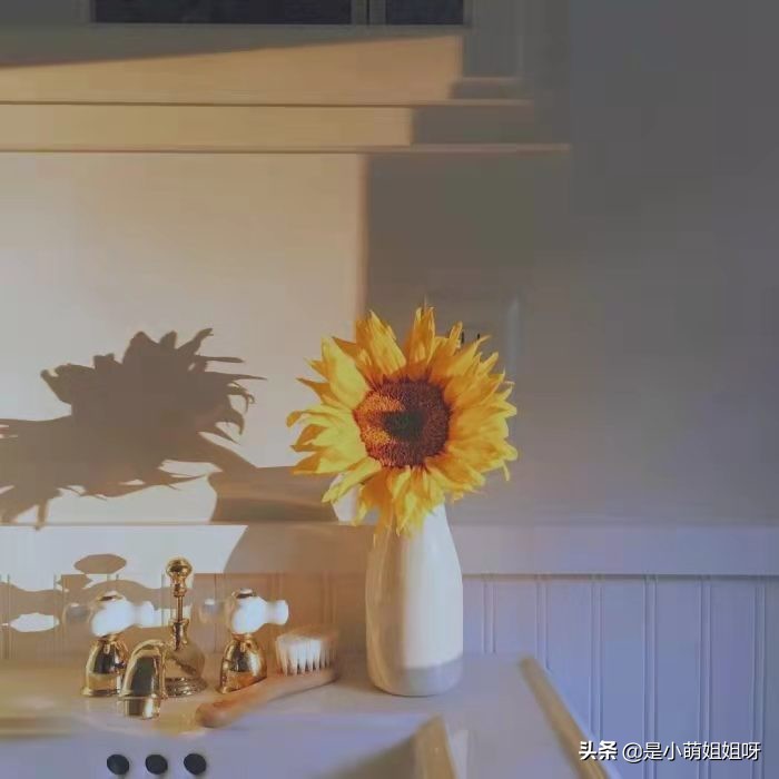 我在今日头条写作,1个月涨粉10000,日入100元