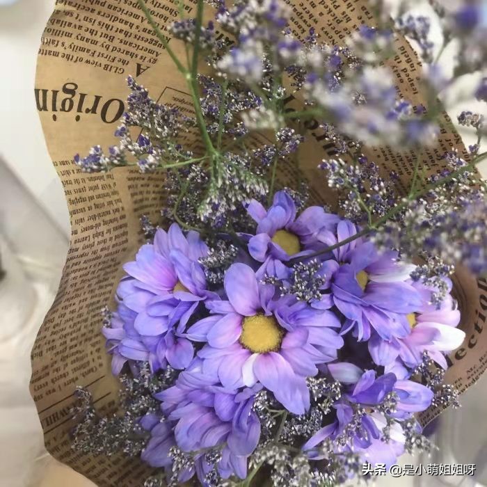 我在今日头条写作,1个月涨粉10000,日入100元