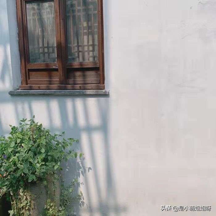 我在今日头条写作,1个月涨粉10000,日入100元