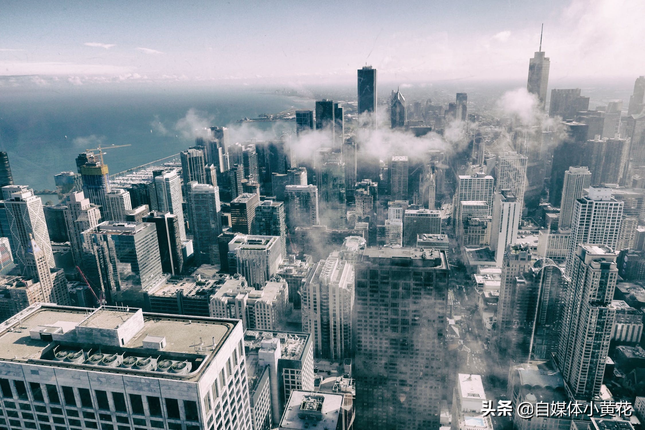 哪里可以免费下载短视频?这个方法你们用过吗?