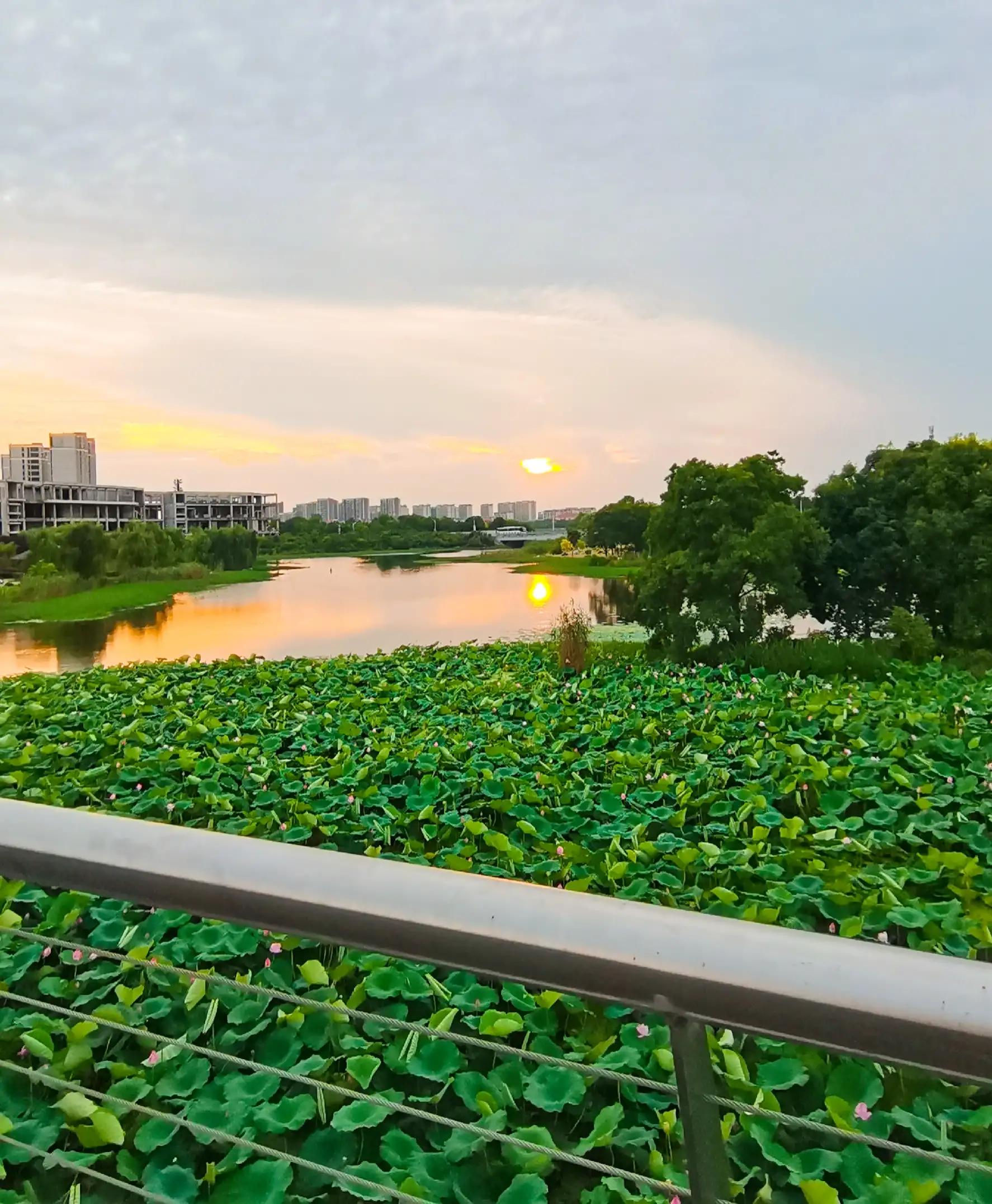 ??‘?|?????”¨????-????—?é—′?-|??????è?a?a’??“???è??????????????1???ˉ??¥