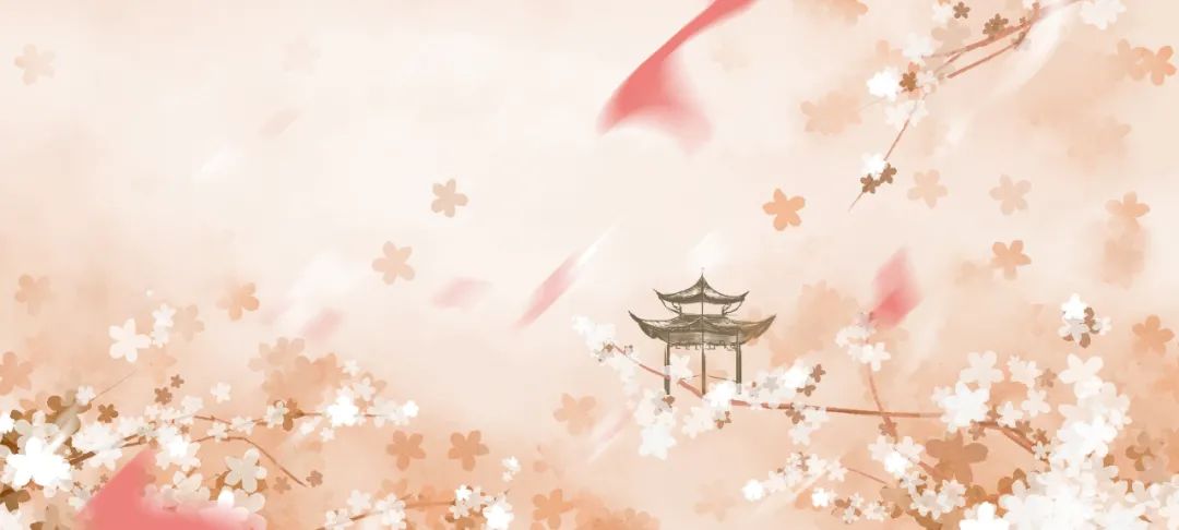 做自媒体一年,赚到20万