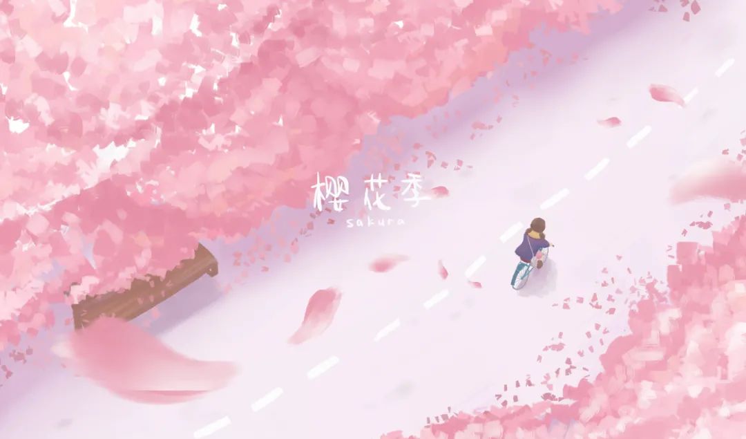 做自媒体一年,赚到20万