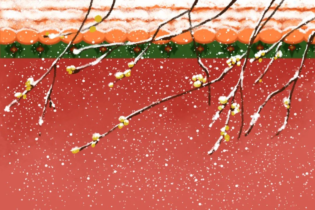 做自媒体一年,赚到20万