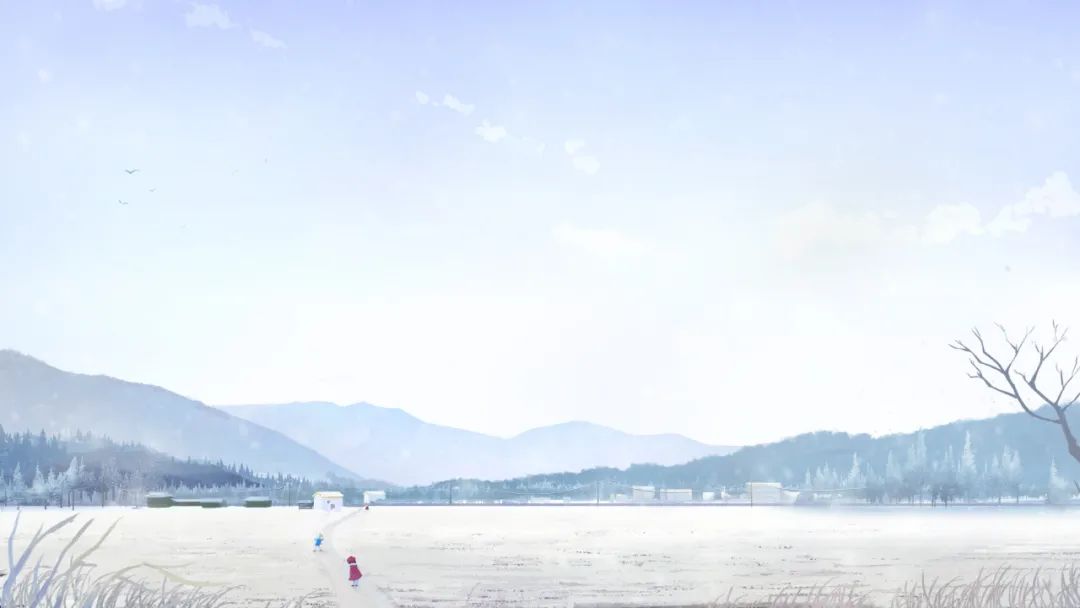 做自媒体一年,赚到20万