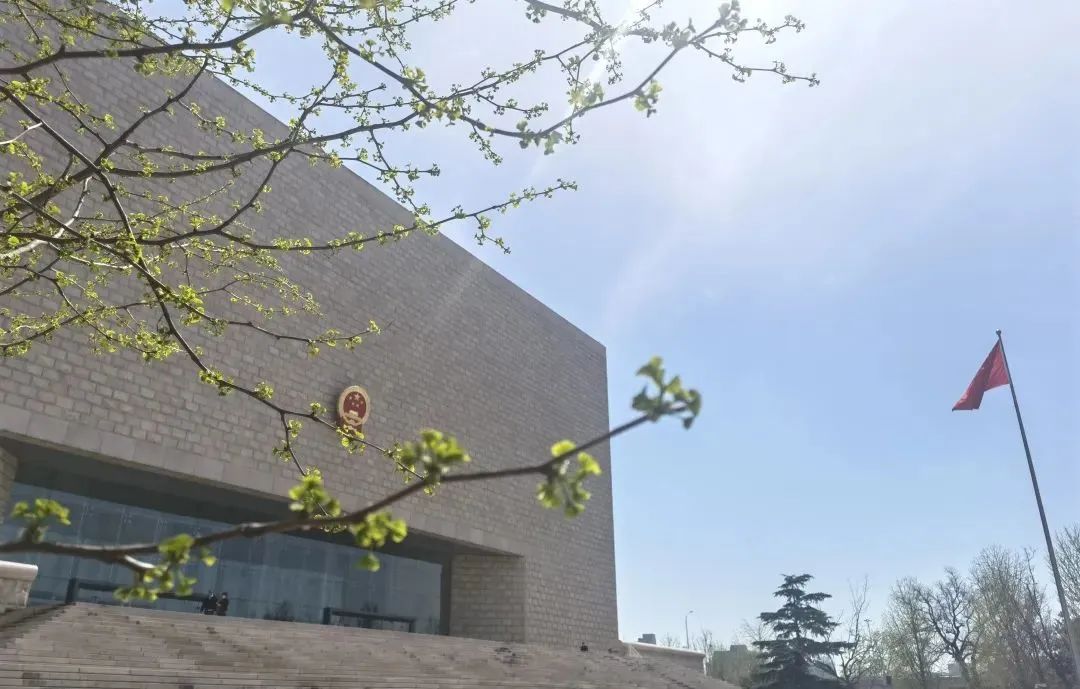 芳菲四月,春意正酣丨“天平杯·随手拍”大赛作品展播