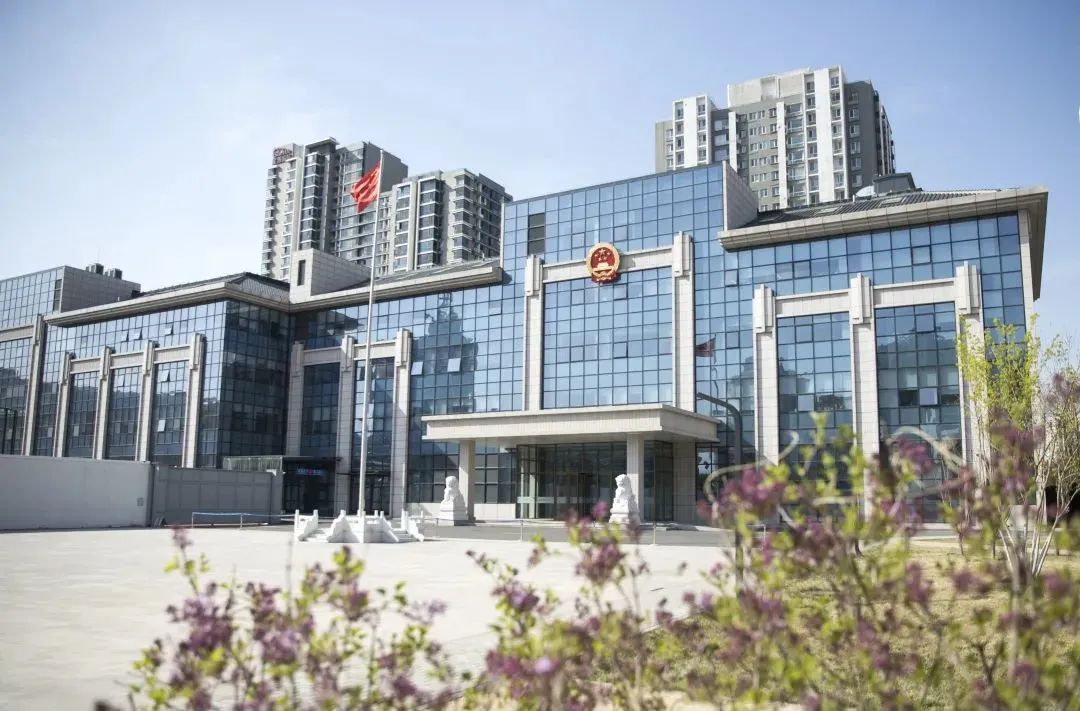 芳菲四月,春意正酣丨“天平杯·随手拍”大赛作品展播