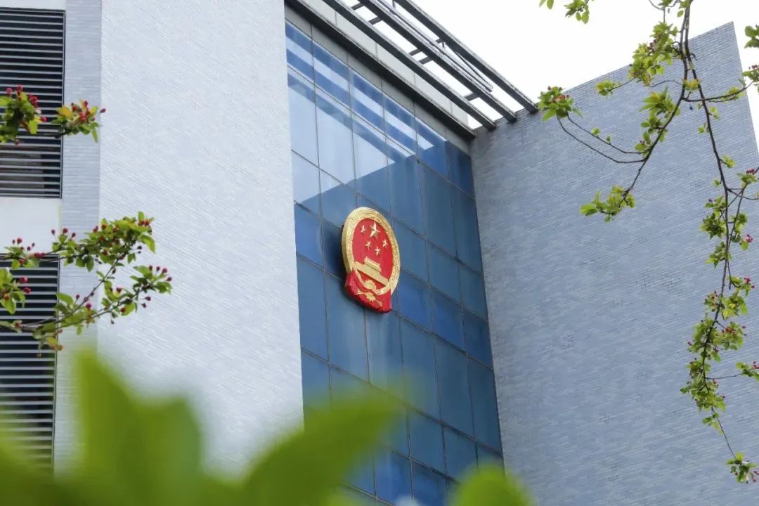 芳菲四月,春意正酣丨“天平杯·随手拍”大赛作品展播