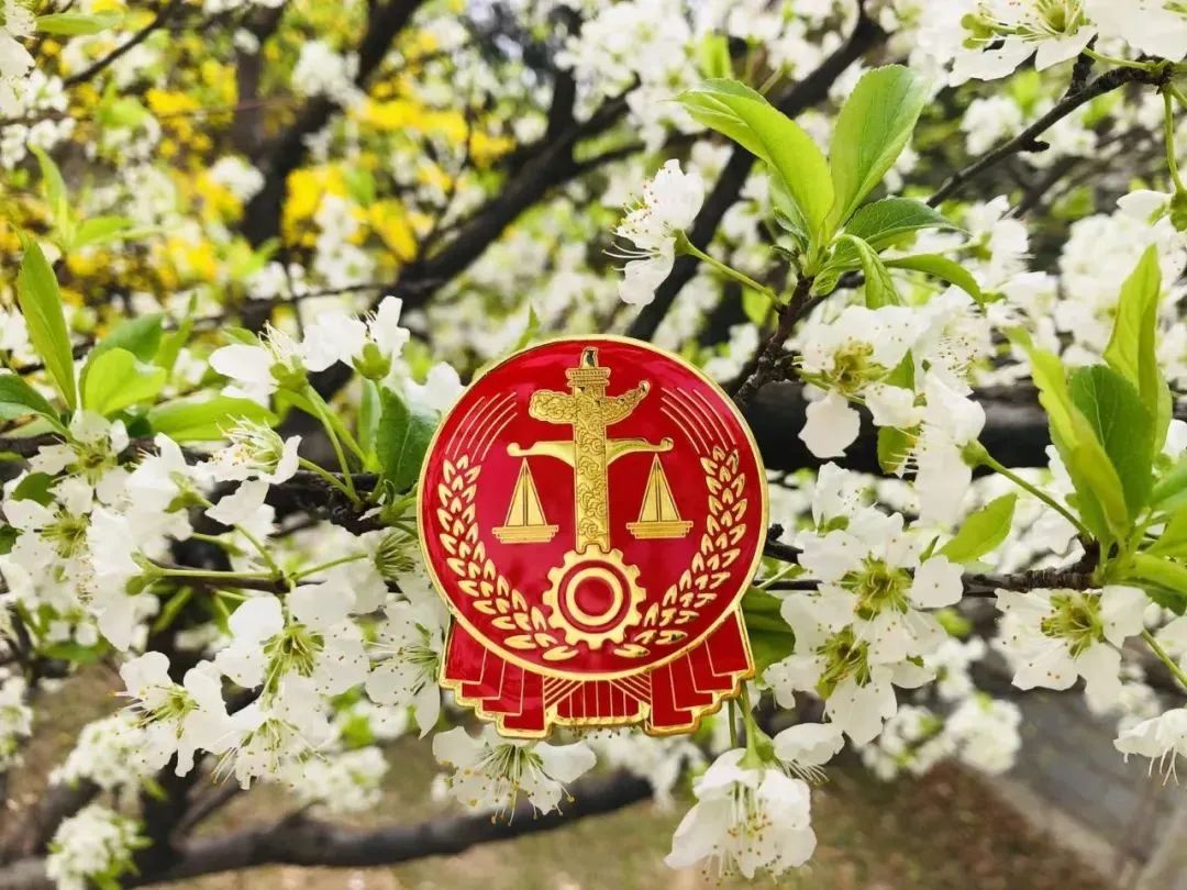 芳菲四月,春意正酣丨“天平杯·随手拍”大赛作品展播