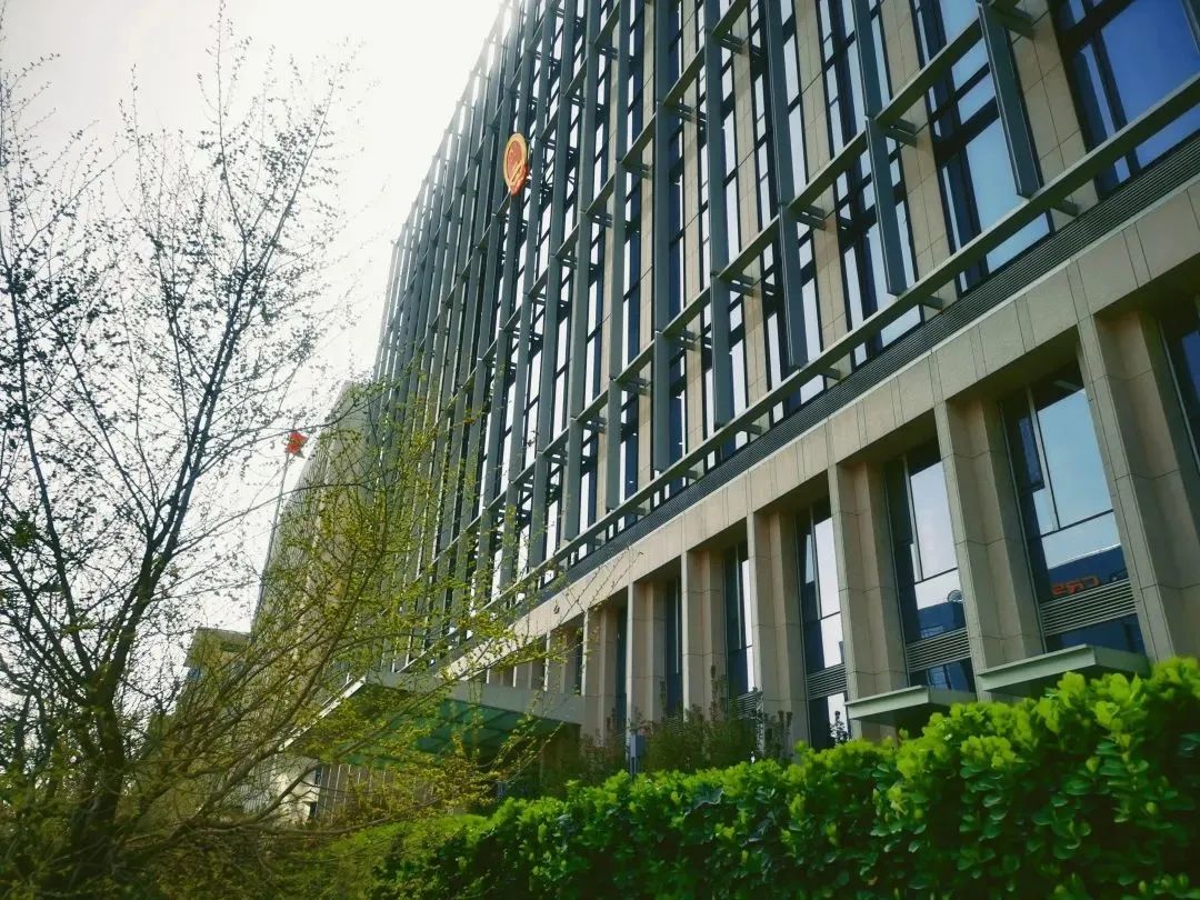 芳菲四月,春意正酣丨“天平杯·随手拍”大赛作品展播