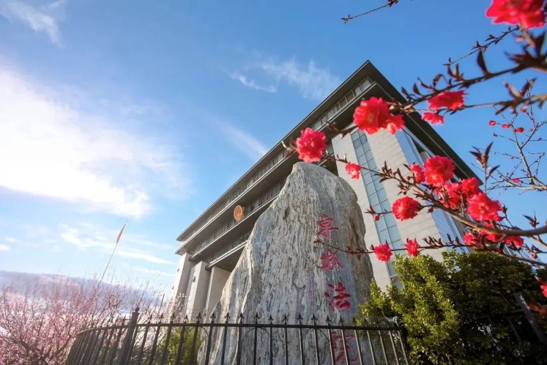 芳菲四月,春意正酣丨“天平杯·随手拍”大赛作品展播