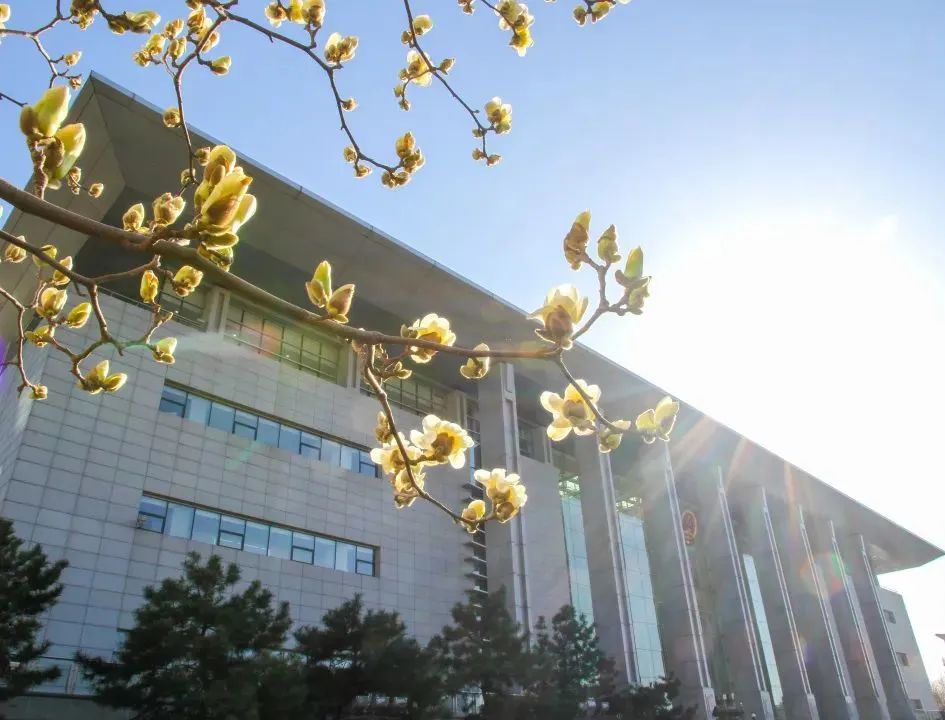 芳菲四月,春意正酣丨“天平杯·随手拍”大赛作品展播