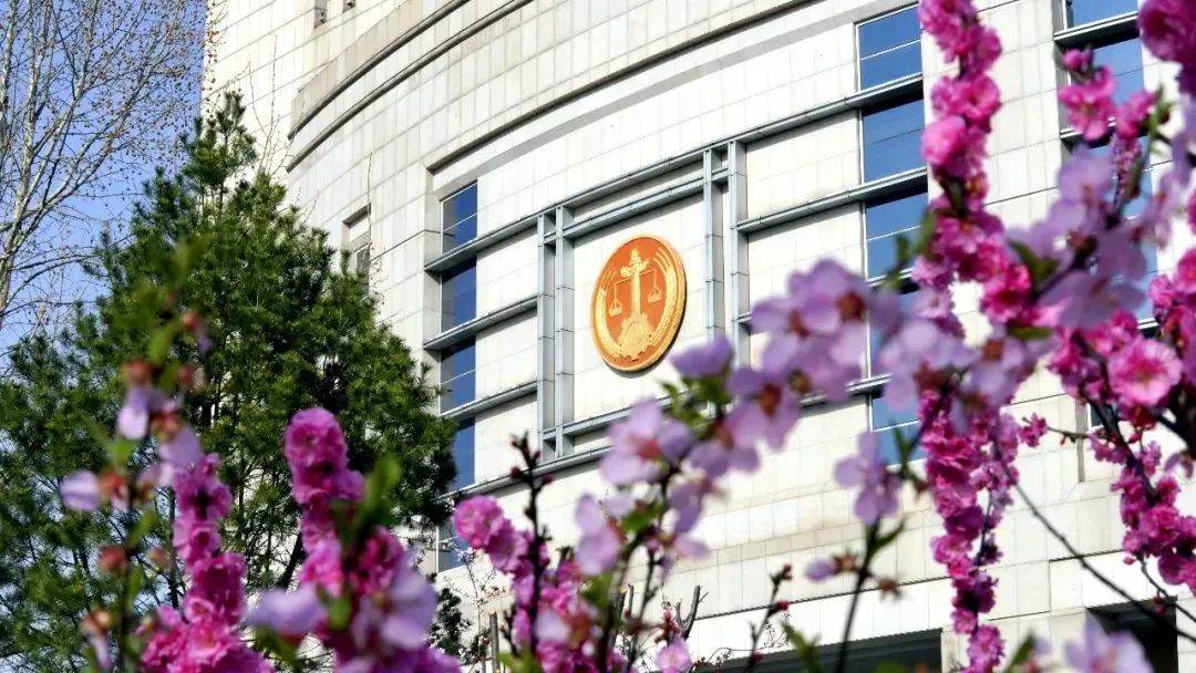 芳菲四月,春意正酣丨“天平杯·随手拍”大赛作品展播