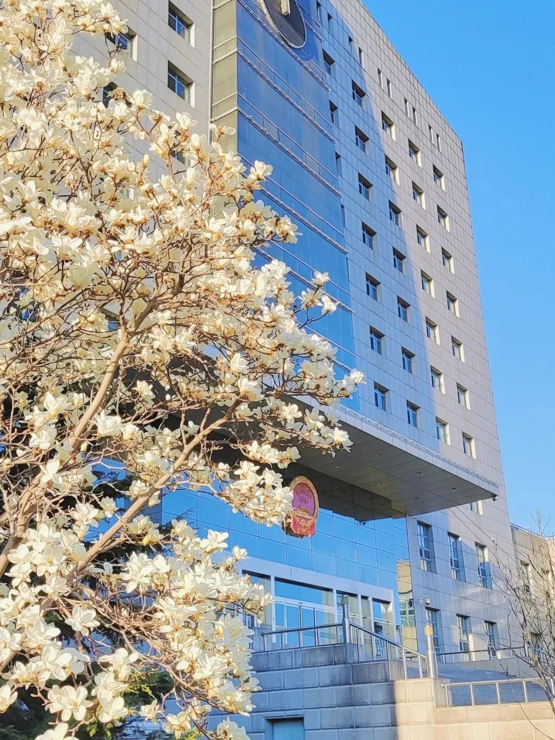 芳菲四月,春意正酣丨“天平杯·随手拍”大赛作品展播