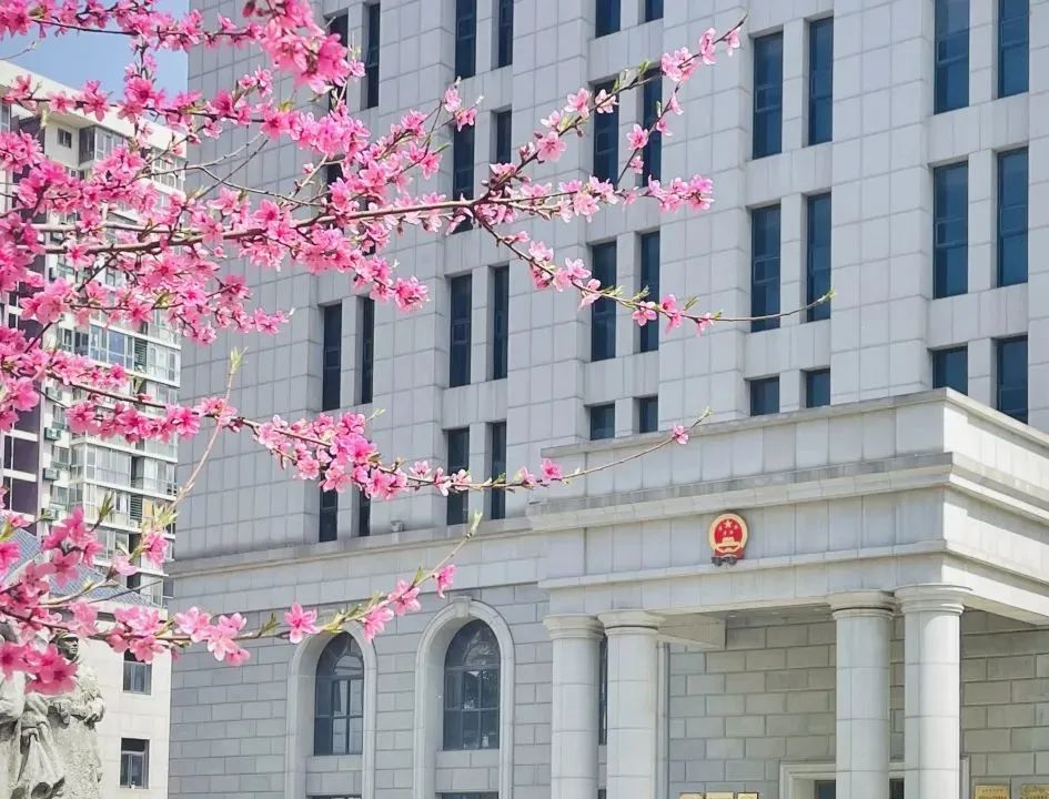 芳菲四月,春意正酣丨“天平杯·随手拍”大赛作品展播