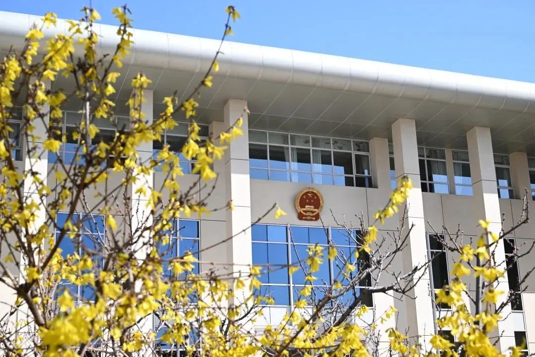 芳菲四月,春意正酣丨“天平杯·随手拍”大赛作品展播