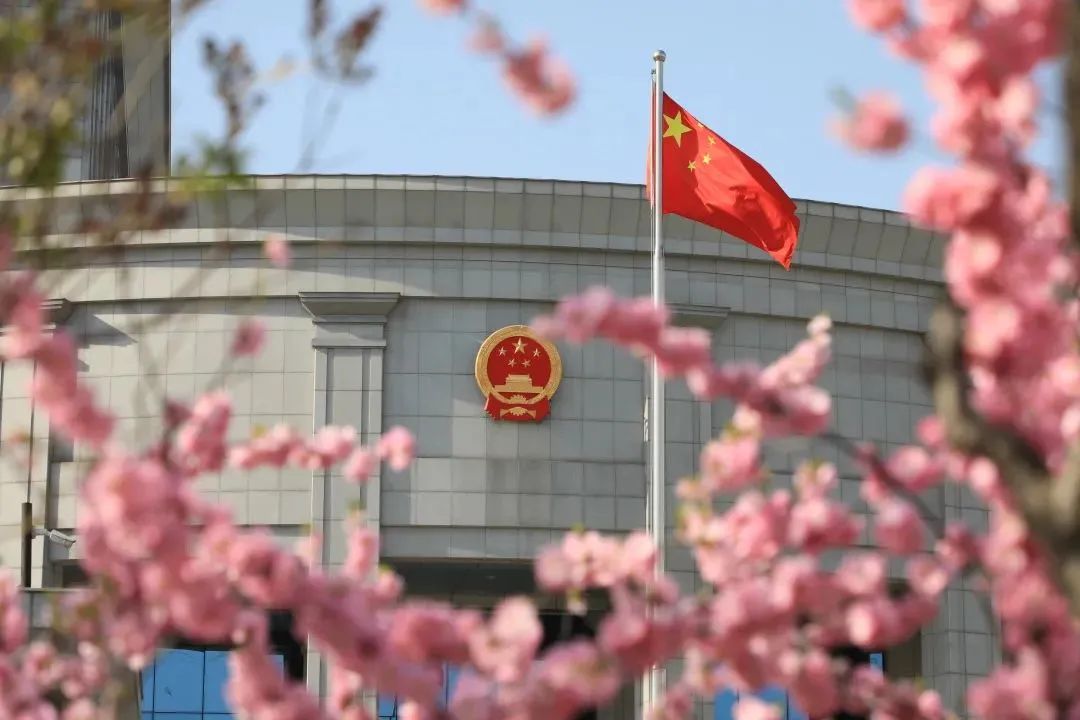 芳菲四月,春意正酣丨“天平杯·随手拍”大赛作品展播