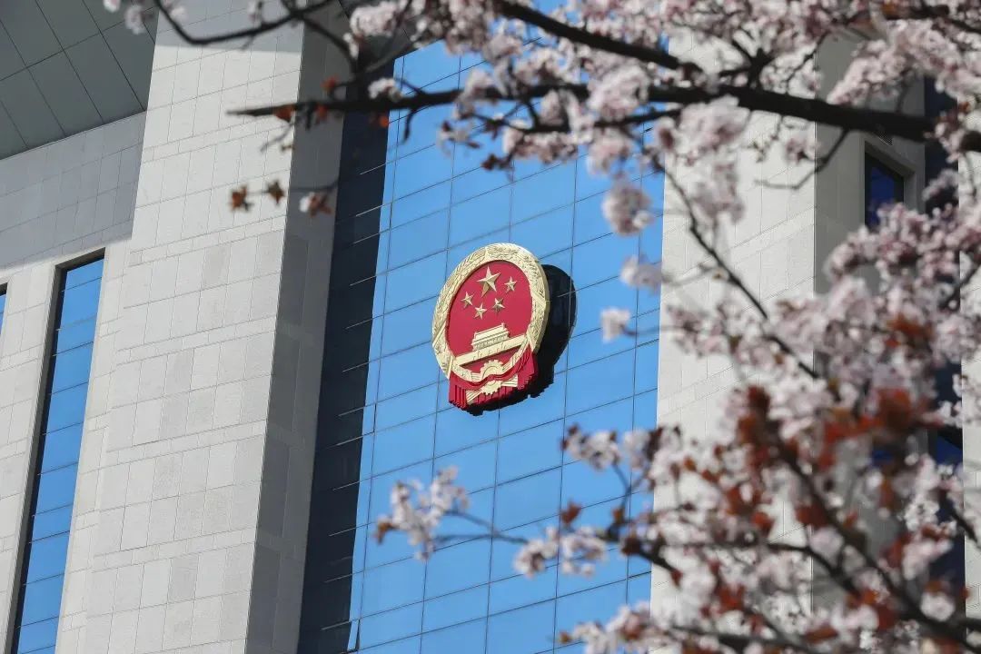 芳菲四月,春意正酣丨“天平杯·随手拍”大赛作品展播