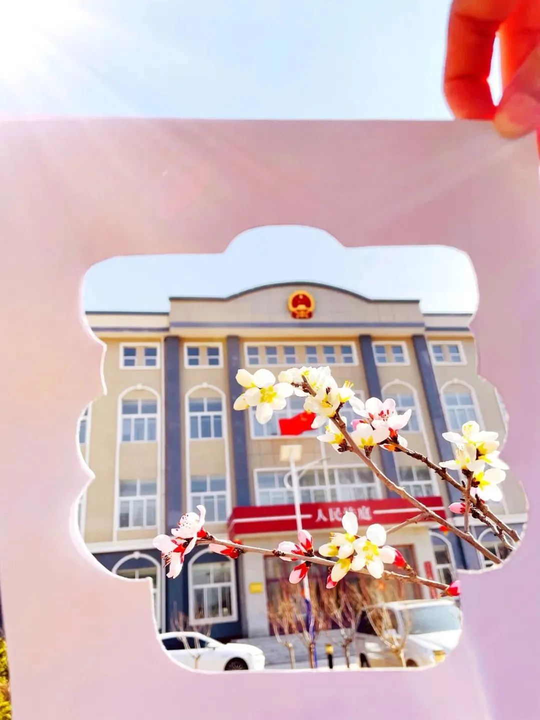 芳菲四月,春意正酣丨“天平杯·随手拍”大赛作品展播