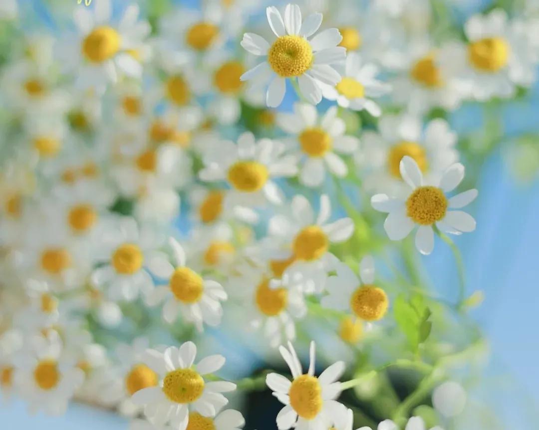 你的头条没收益？可能是这8个原因，赶紧自查