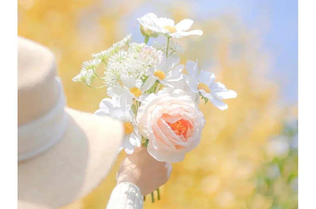 你的头条没收益？可能是这8个原因，赶紧自查