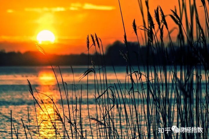 自媒体如何赚钱,看这里告诉你企鹅号是如何做到五位数的收益
