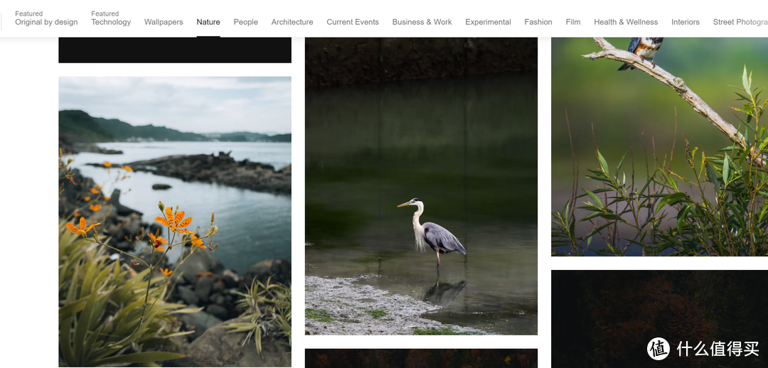 做设计素材哪里找?10个免费素材网站推荐给你