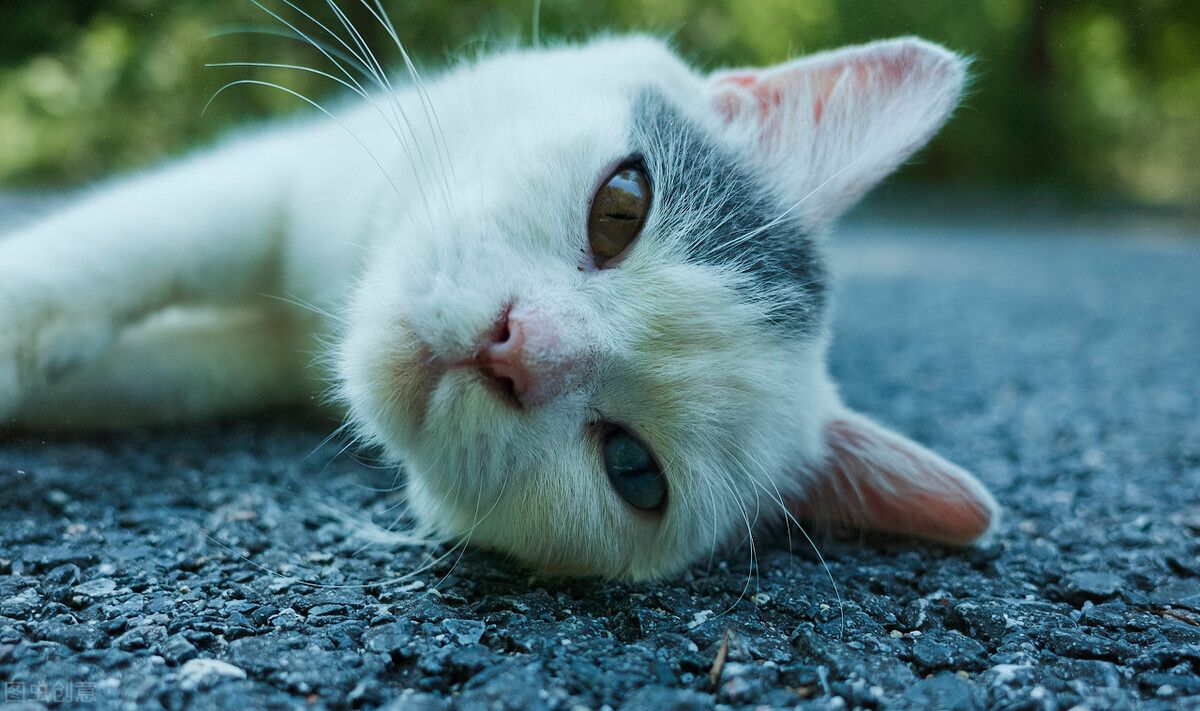 2022年,自媒体行业内卷愈演愈烈,我等新手小白该何去何从?