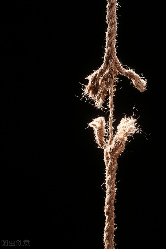 2022年,自媒体行业内卷愈演愈烈,我等新手小白该何去何从?