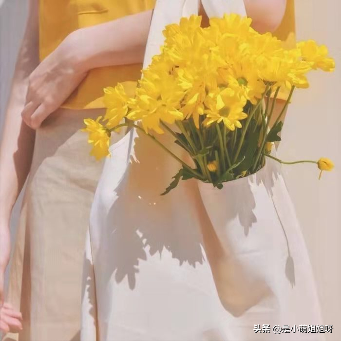 你为什么做不好自媒体,因为你太老实了