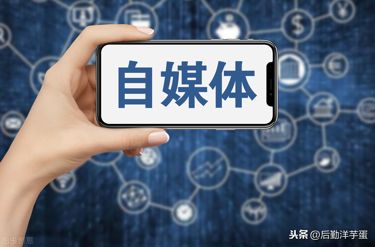 自媒体小白揭秘自媒体乱象,先画大饼再晒收入,最后都入坑交学费