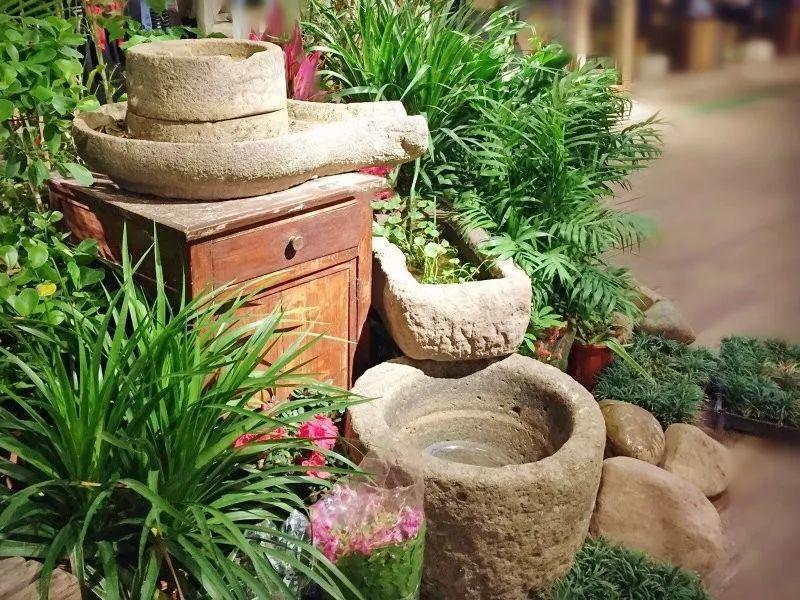 以自媒体创业之名,在农村也能活得很阳光,三农内容创作机会1