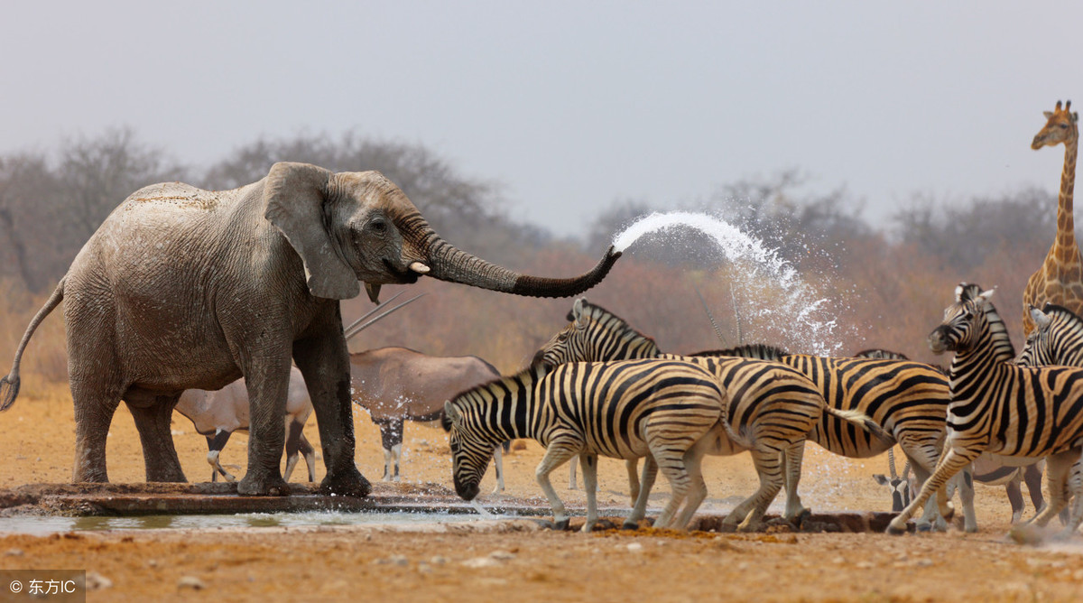 自媒体新手注册账号,注意这几点,不然你的申请可能会被拒