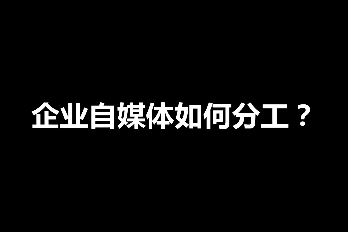企业自媒体如何分工?