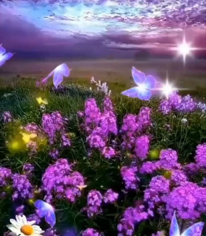 全靠这五大实用工具,小白做自媒体,工资从1K到3K