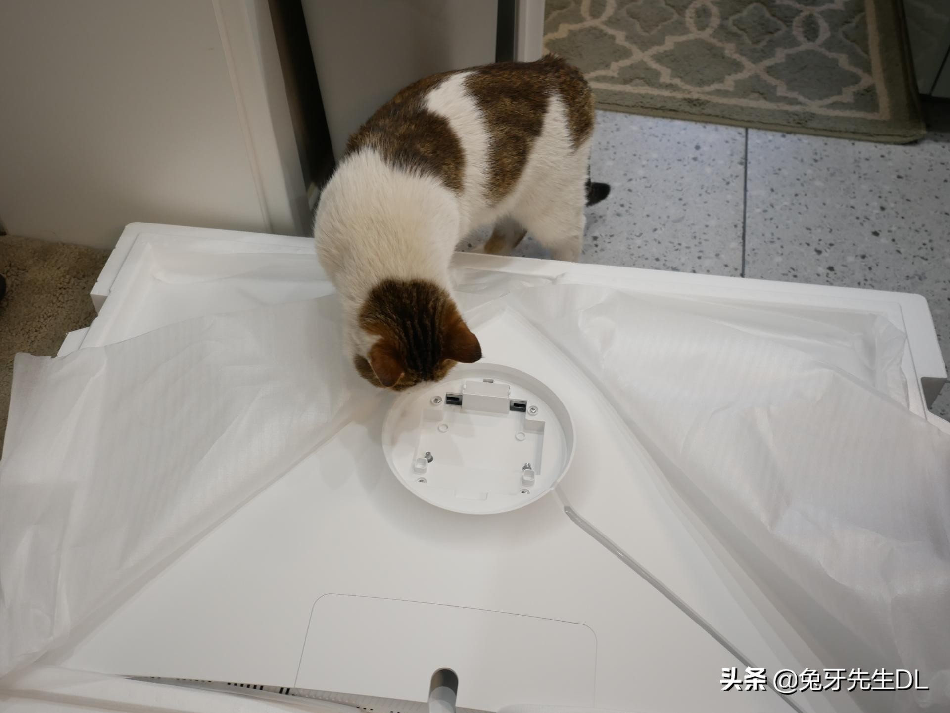 理性分析如何选择Switch的外接屏幕,入手泰坦军团38.5英寸显示器