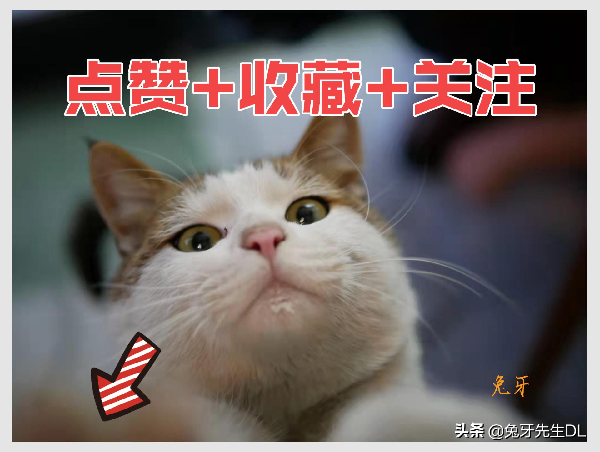 理性分析如何选择Switch的外接屏幕,入手泰坦军团38.5英寸显示器