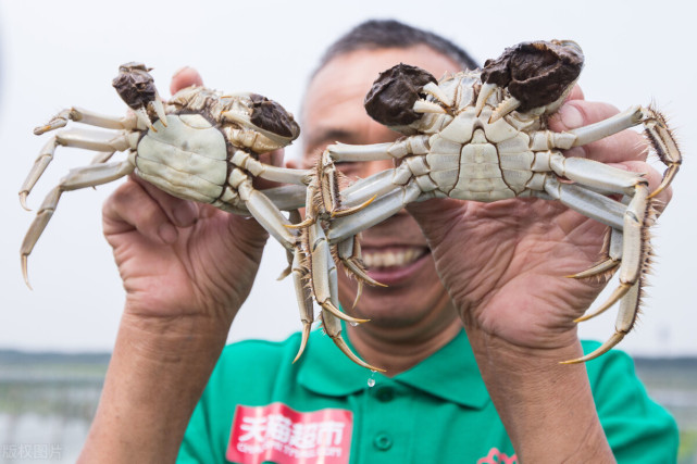 短视频运营一共5大变现模式,玩转短视频,轻松赚钱变现