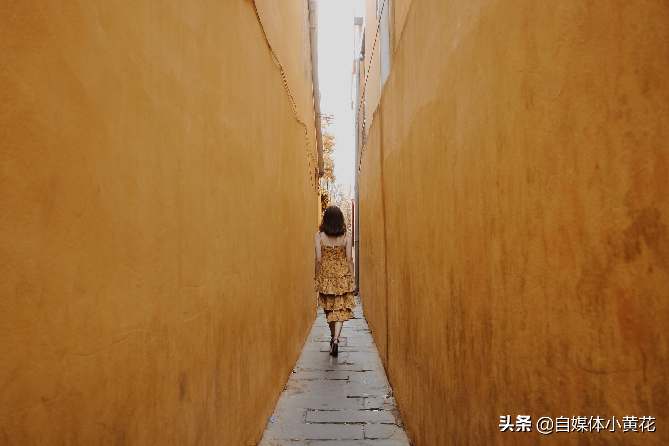 现在自媒体平台有哪些?哪几个平台更容易赚钱?