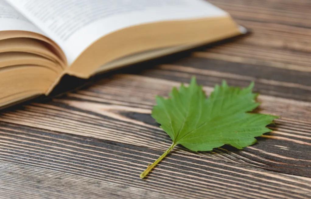 a???‘??¨?????|?-??-?????ˉ?????”??…¥5Ka????é????????|????3??aèμ?é’±?–1???